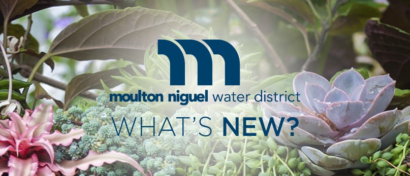 January 2018 Newsletter: New Year, New Program to Save Water & Money